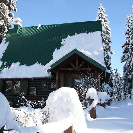 Durmitor Chalet Zabljak  Bagian luar foto