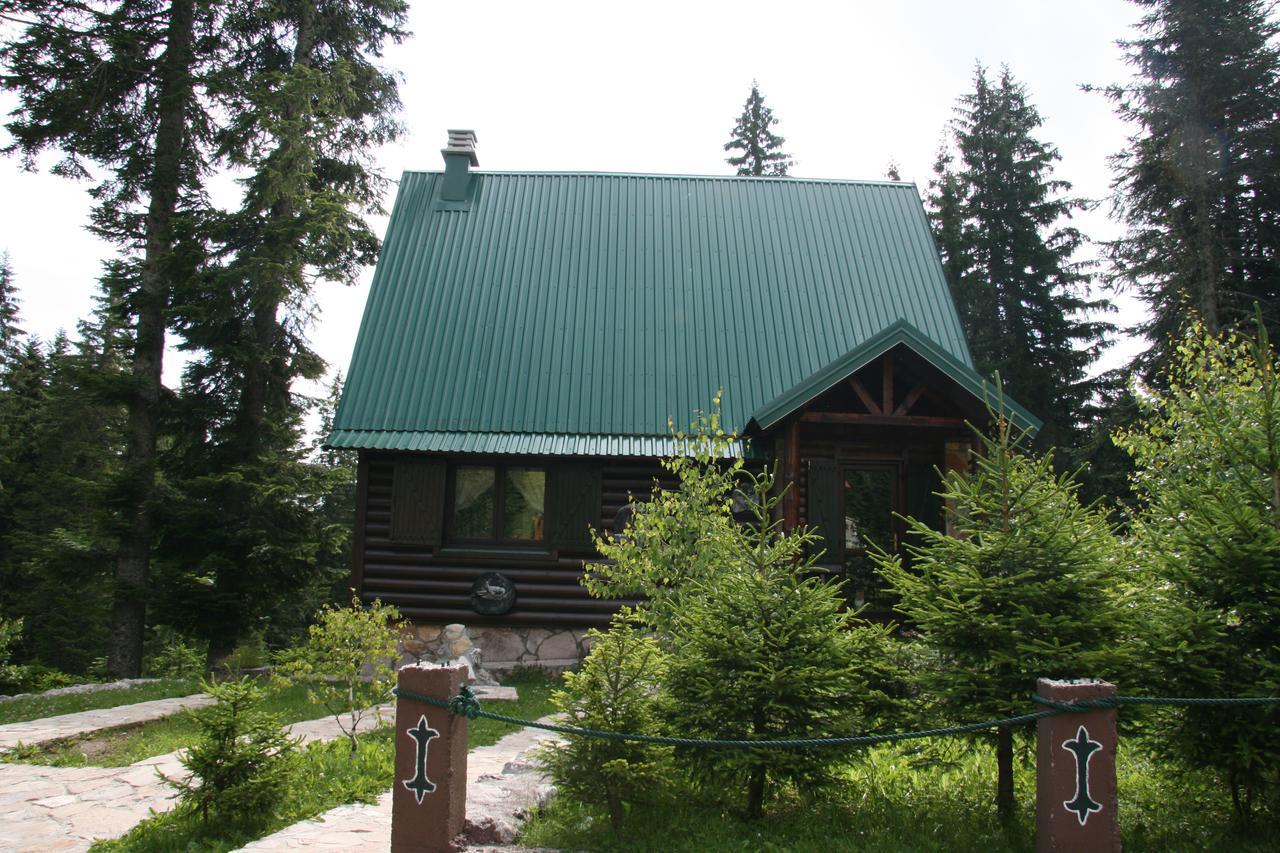 Durmitor Chalet Zabljak  Bagian luar foto