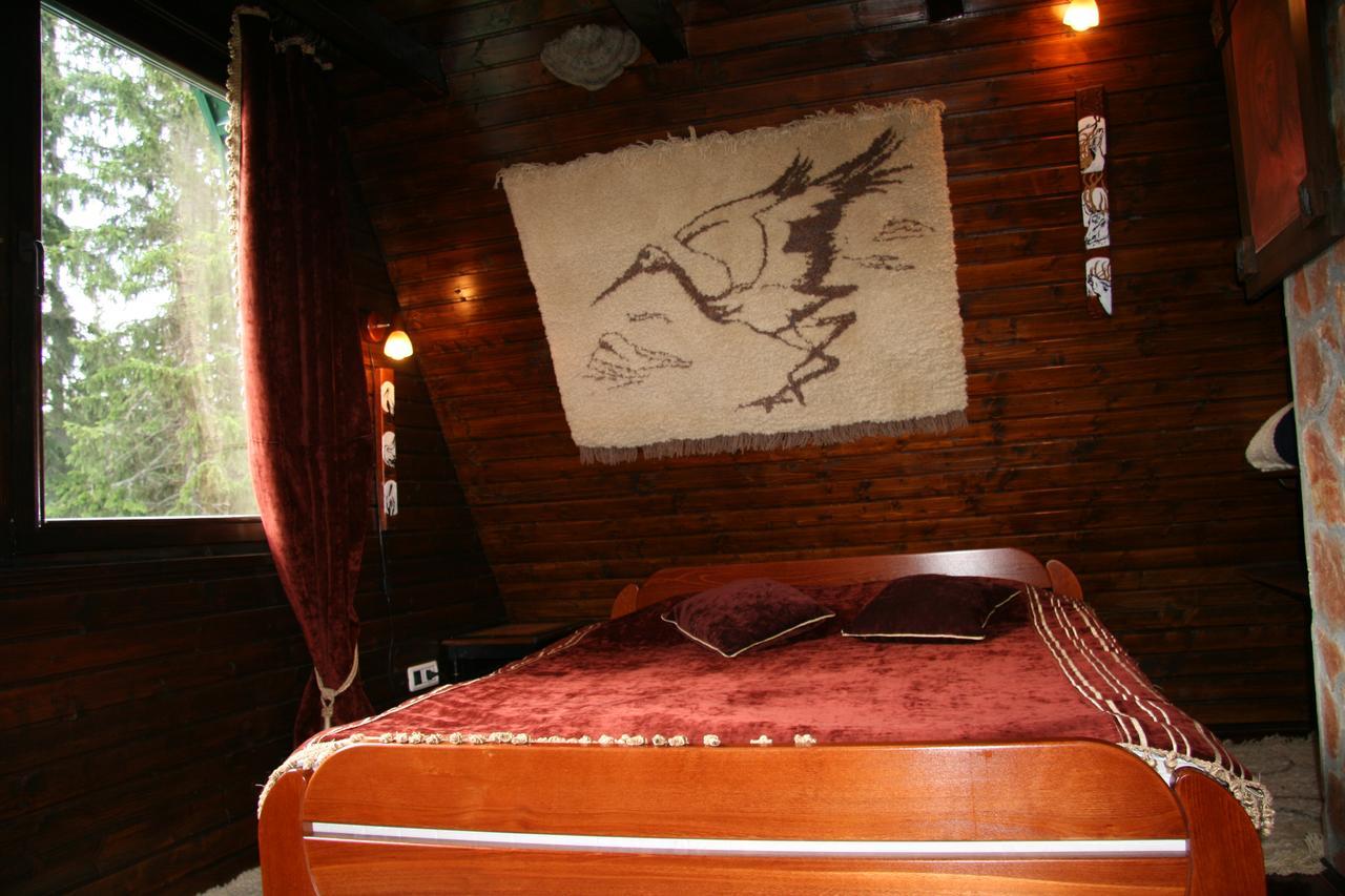 Durmitor Chalet Zabljak  Bagian luar foto
