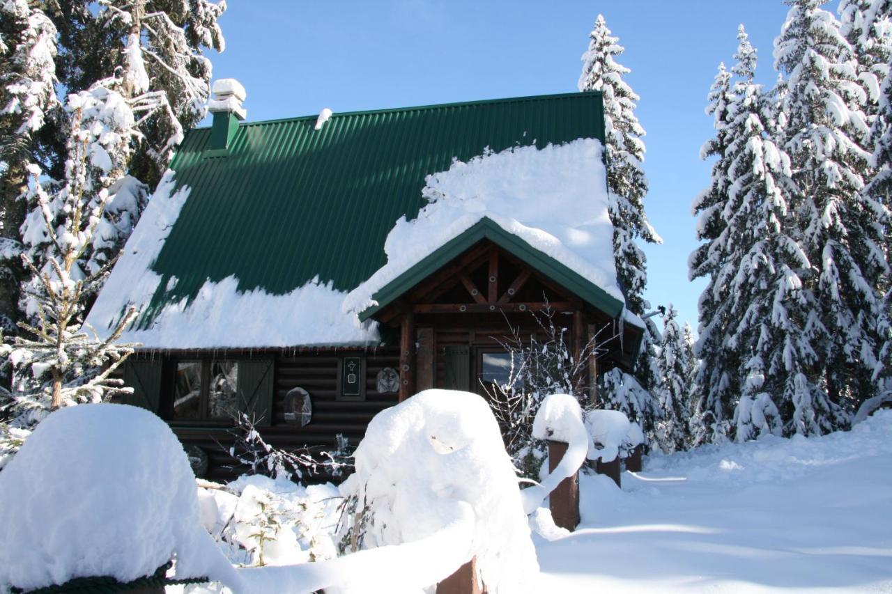 Durmitor Chalet Zabljak  Bagian luar foto
