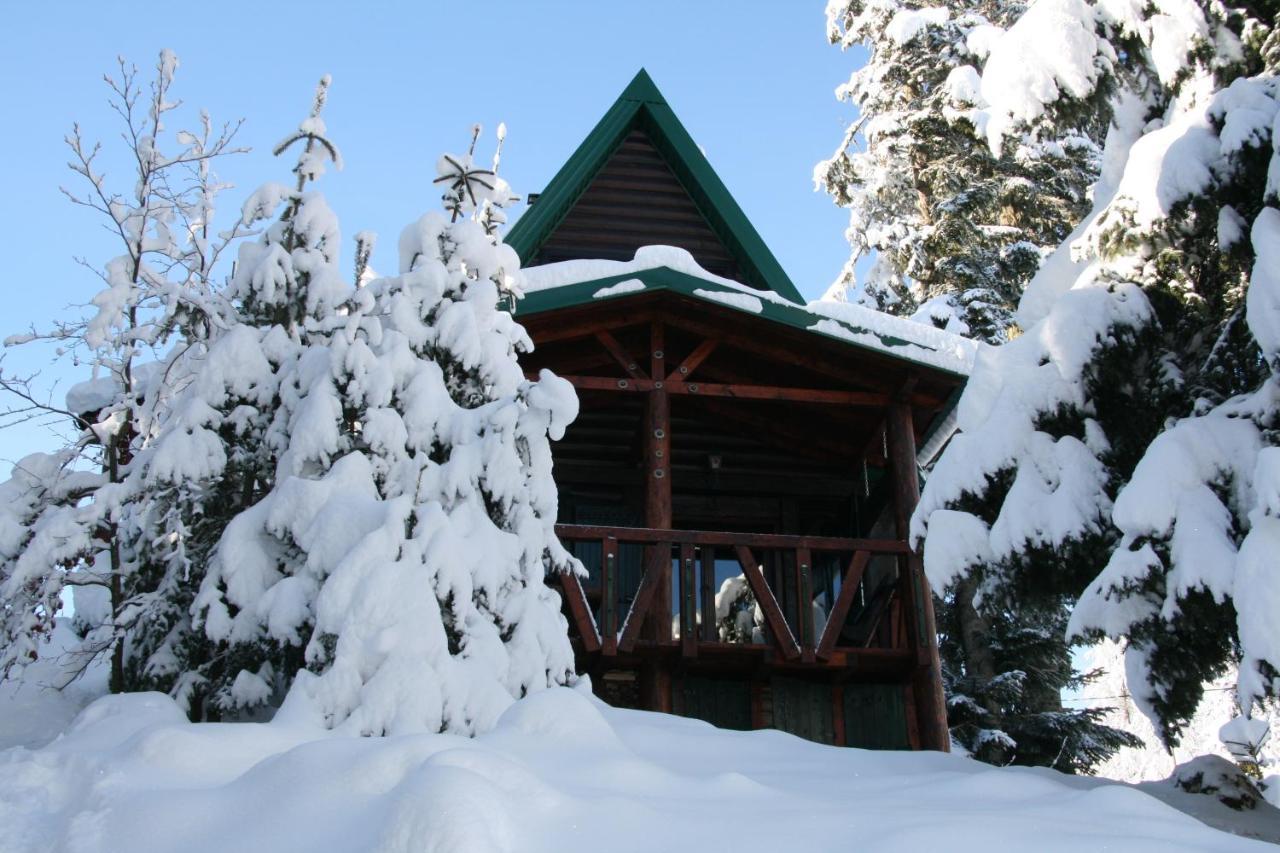 Durmitor Chalet Zabljak  Bagian luar foto